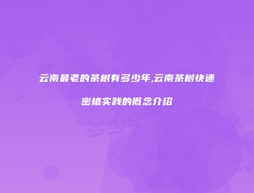 云南最老的茶树有多少年,云南茶树快速密植实践的概念介绍