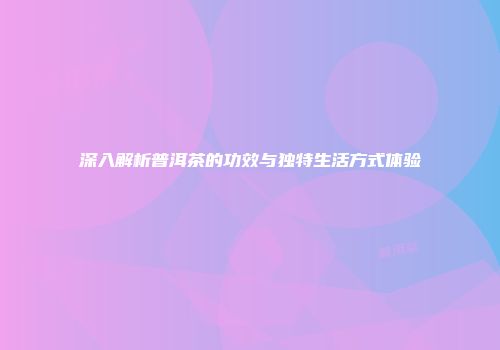 深入解析普洱茶的功效与独特生活方式体验