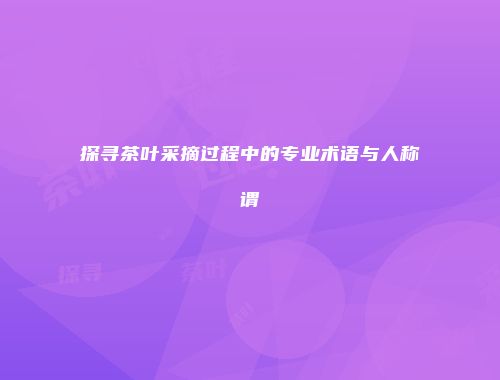 探寻茶叶采摘过程中的专业术语与人称谓