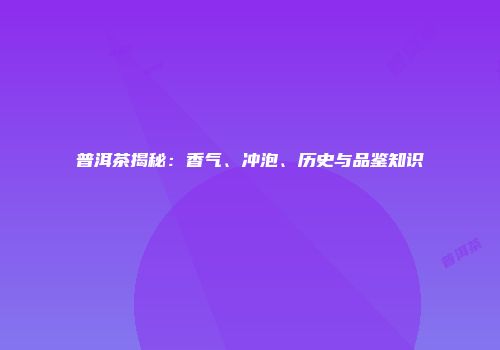 普洱茶揭秘：香气、冲泡、历史与品鉴知识