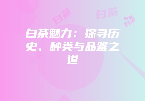 白茶魅力：探寻历史、种类与品鉴之道