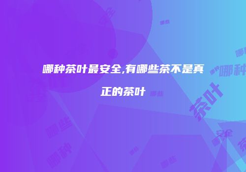 哪种茶叶最安全,有哪些茶不是真正的茶叶