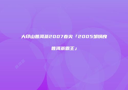 大印山普洱茶2007春尖「2005邹炳良普洱茶霸王」