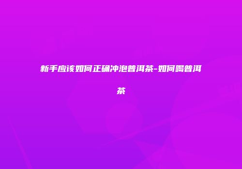 新手应该如何正确冲泡普洱茶-如何喝普洱茶