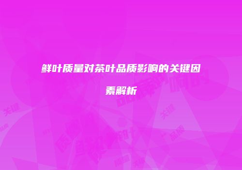 鲜叶质量对茶叶品质影响的关键因素解析