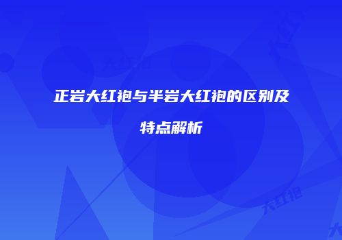 正岩大红袍与半岩大红袍的区别及特点解析