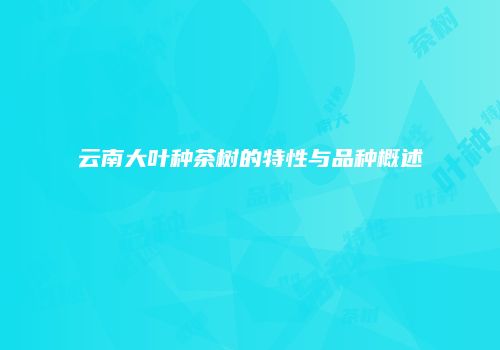 云南大叶种茶树的特性与品种概述