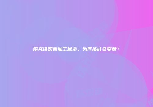 探究铁观音加工秘密：为何茶叶会变黄？