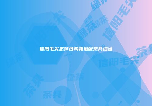 信阳毛尖怎样选购和搭配茶具泡法
