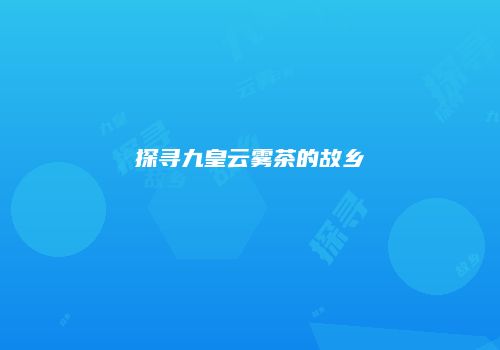 探寻九皇云雾茶的故乡