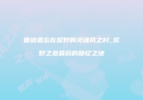 曾被遗忘在荒野的灵魂风之村_荒野之息最后的回忆之地