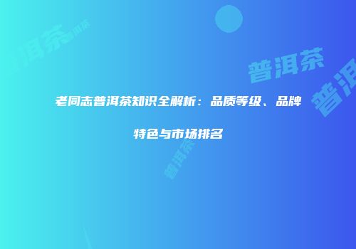 老同志普洱茶知识全解析：品质等级、品牌特色与市场排名