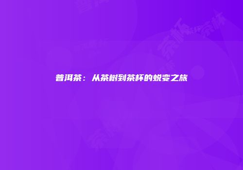 普洱茶：从茶树到茶杯的蜕变之旅