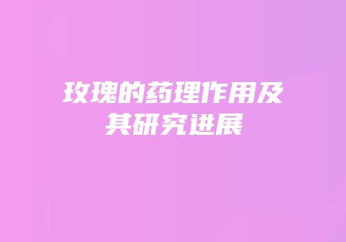 玫瑰的药理作用及其研究进展