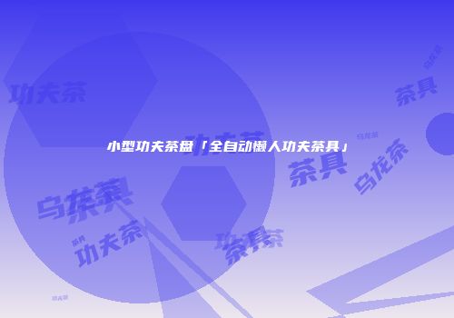 小型功夫茶盘「全自动懒人功夫茶具」
