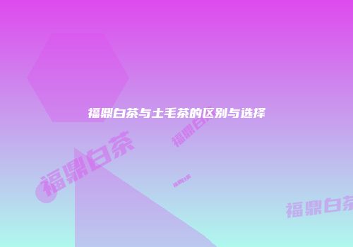 福鼎白茶与土毛茶的区别与选择