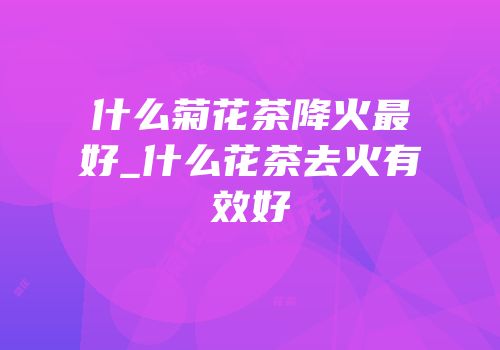 什么菊花茶降火最好_什么花茶去火有效好