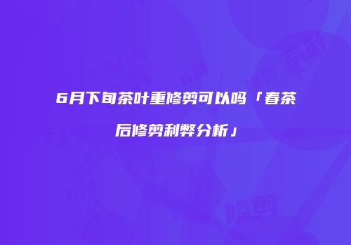 6月下旬茶叶重修剪可以吗「春茶后修剪利弊分析」