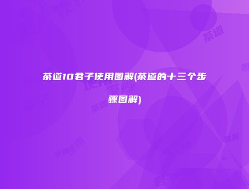 茶道10君子使用图解(茶道的十三个步骤图解)