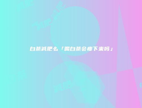 白茶减肥么「喝白茶会瘦下来吗」