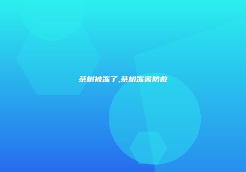 茶树被冻了,茶树冻害防救