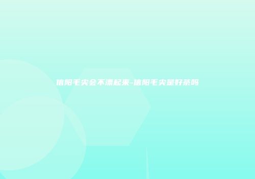 信阳毛尖会不漂起来-信阳毛尖是好茶吗
