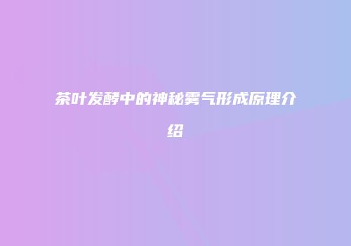 茶叶发酵中的神秘雾气形成原理介绍