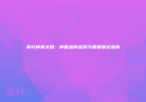 茶叶种植关键：种苗品种选择与质量保证指南