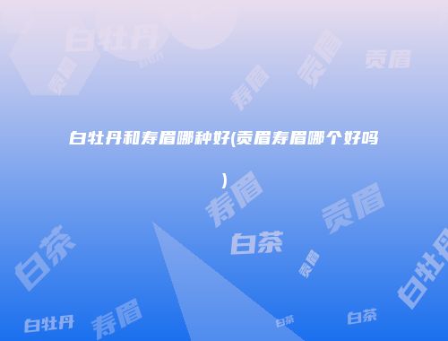 白牡丹和寿眉哪种好(贡眉寿眉哪个好吗)