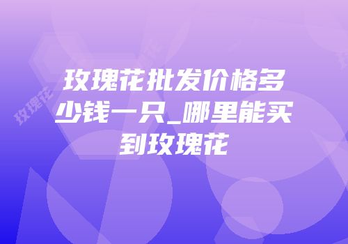 玫瑰花批发价格多少钱一只_哪里能买到玫瑰花