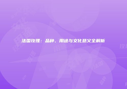 法国玫瑰：品种、用途与文化意义全解析