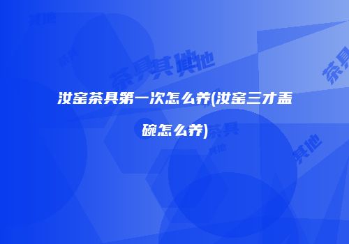 汝窑茶具第一次怎么养(汝窑三才盖碗怎么养)
