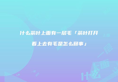 什么茶叶上面有一层毛「茶叶打开看上去有毛是怎么回事」