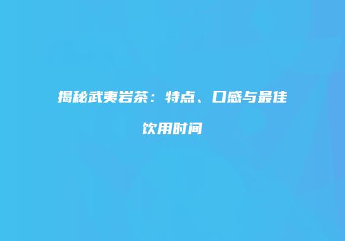 揭秘武夷岩茶：特点、口感与最佳饮用时间