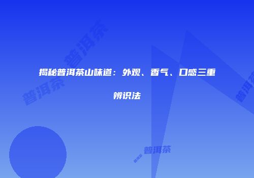 揭秘普洱茶山味道：外观、香气、口感三重辨识法