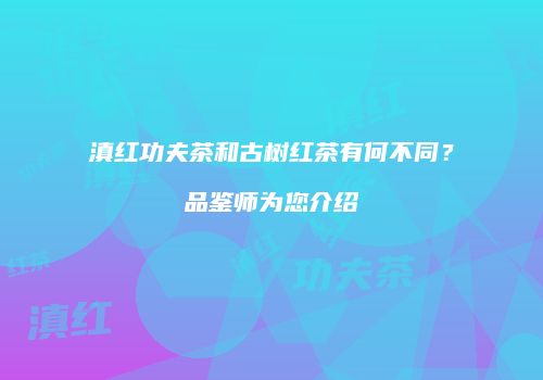 滇红功夫茶和古树红茶有何不同？品鉴师为您介绍