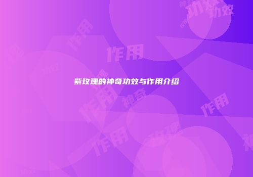 紫玫瑰的神奇功效与作用介绍