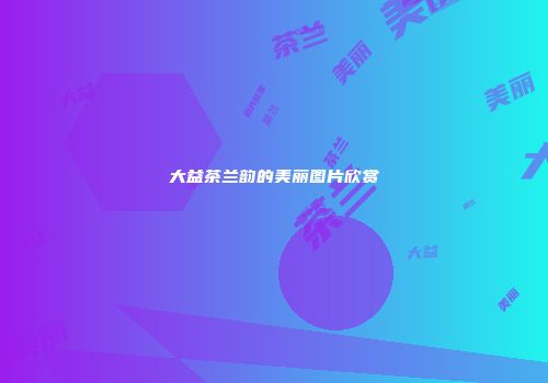 大益茶兰韵的美丽图片欣赏