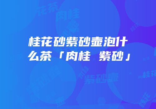 桂花砂紫砂壶泡什么茶「肉桂 紫砂」