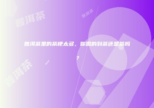 普洱茶里的茶梗太多，你喝的到茶还是茶吗？