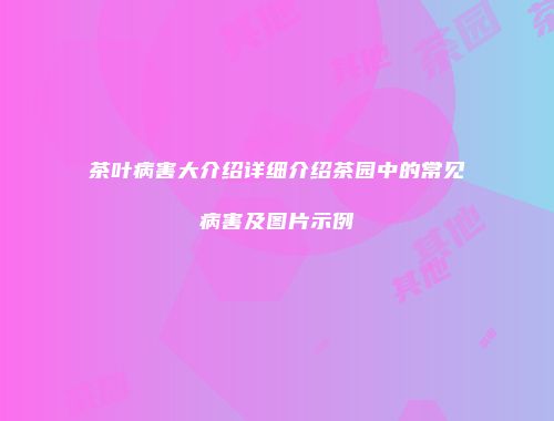 茶叶病害大介绍详细介绍茶园中的常见病害及图片示例