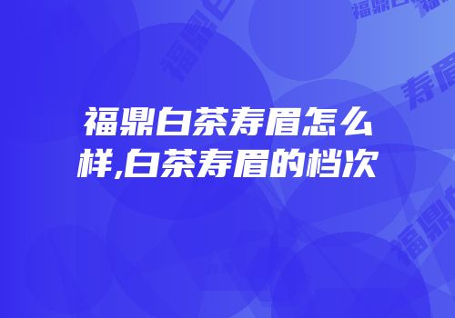 福鼎白茶寿眉怎么样,白茶寿眉的档次