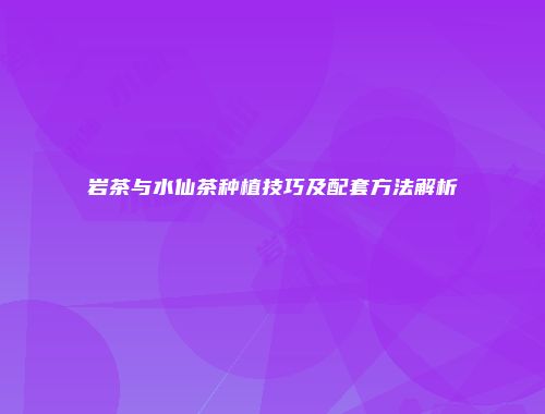 岩茶与水仙茶种植技巧及配套方法解析