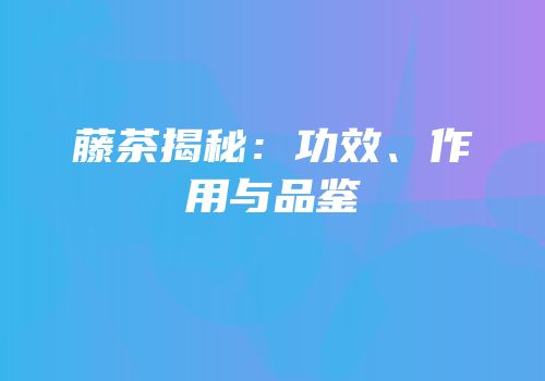 藤茶揭秘：功效、作用与品鉴