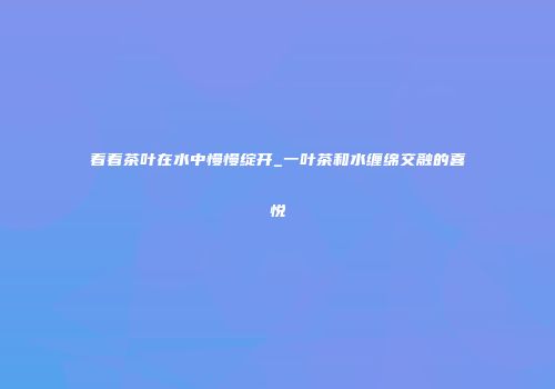 看着茶叶在水中慢慢绽开_一叶茶和水缠绵交融的喜悦