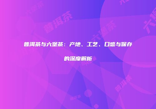 普洱茶与六堡茶：产地、工艺、口感与保存的深度解析