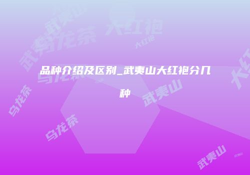 品种介绍及区别_武夷山大红袍分几种