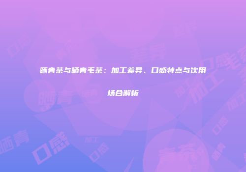 晒青茶与晒青毛茶：加工差异、口感特点与饮用场合解析