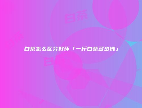 白茶怎么区分好坏「一斤白茶多少钱」