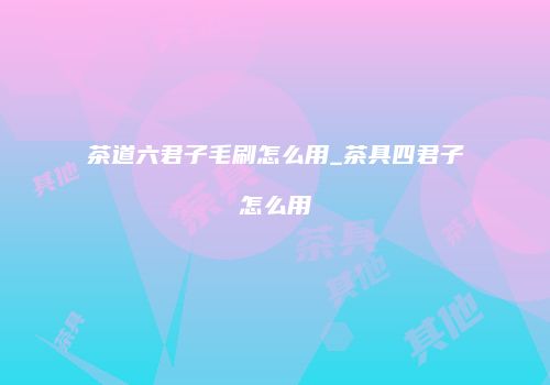 茶道六君子毛刷怎么用_茶具四君子怎么用